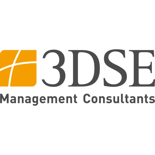 Logo 3DSE Management Consultants GmbH