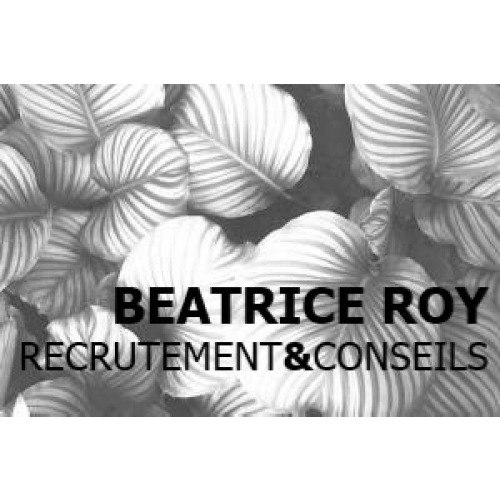 Logo BEATRICE ROY RECRUTEMENT & CONSEILS