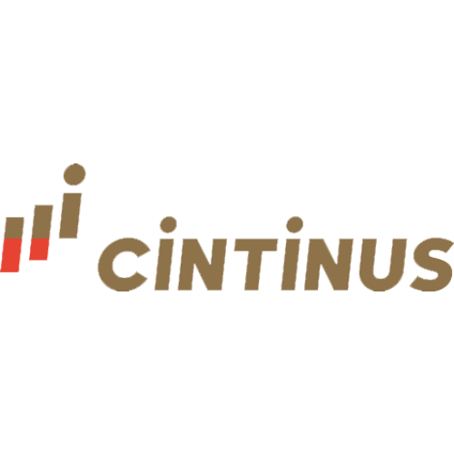 Logo WSR Cintinus Steuerberatungsgesellschaft mbH