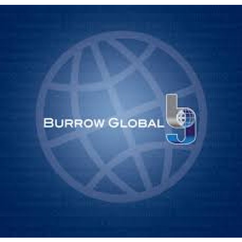 Logo Burrow Global, LLC