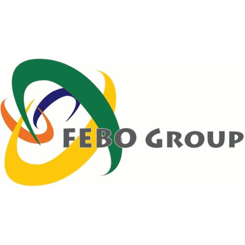 Logo Febo Maschinenmontagen und Anlagenbau GmbH