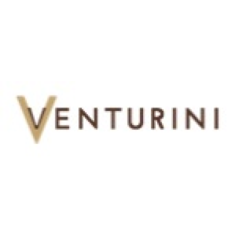 Logo Venturini Footwear India Pvt. Ltd