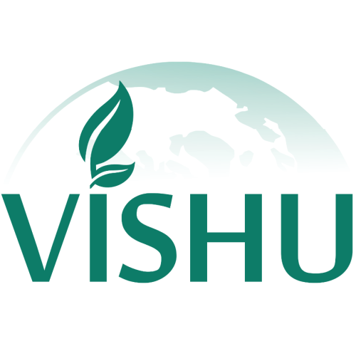 Logo 株式会社VISHU