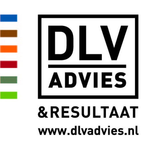 Logo DLV Advies