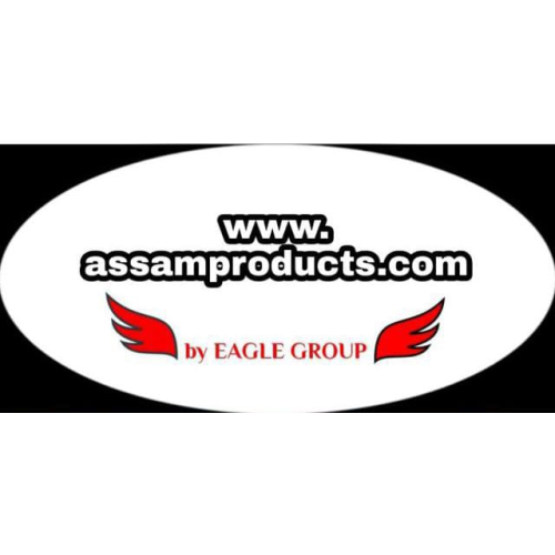 Logo Eagle Group