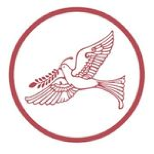 Logo Dove Homecare