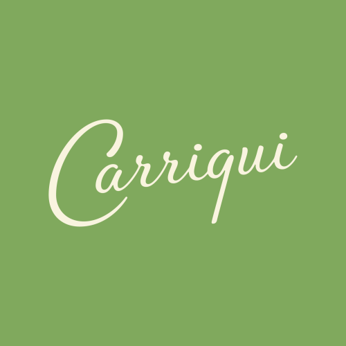 Logo Carriqui