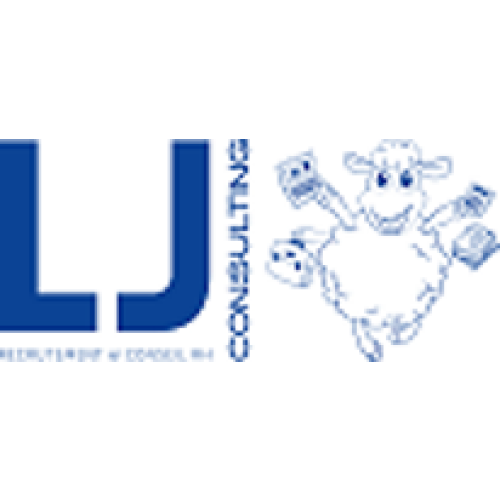 Logo LJ CONSULTING RH