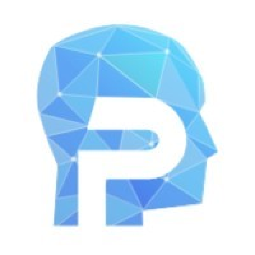 Logo Pacston & Partners