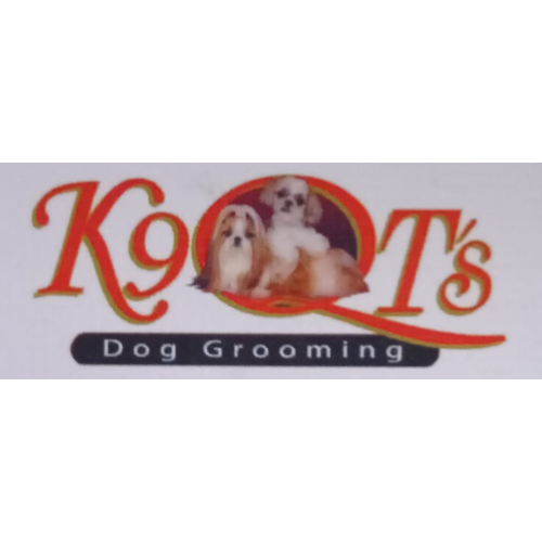 Logo K9QTs