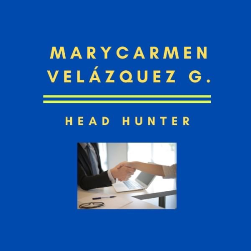 Logo MV headhunter