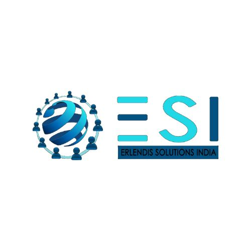 Logo ERLENDIS SOLUTIONS INDIA PVT LTD