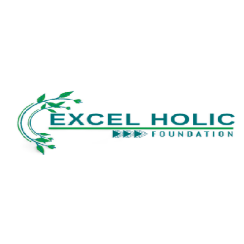 Logo Excel Hoilc Foundation