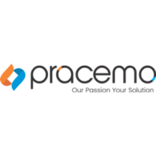 Logo Pracemo Global Solutions