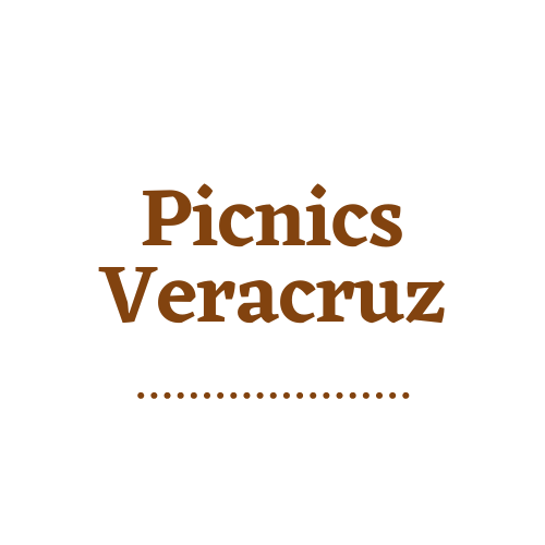 Logo PICNICS VERACRUZ