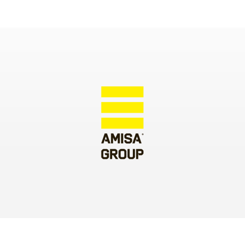 Logo Amisa Group International S.A. de C.V.