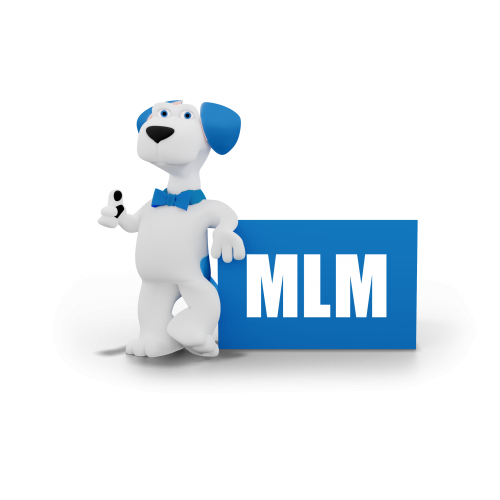 Logo MLM Home Improvement
