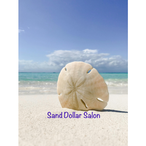 Logo Sand Dollar Salon