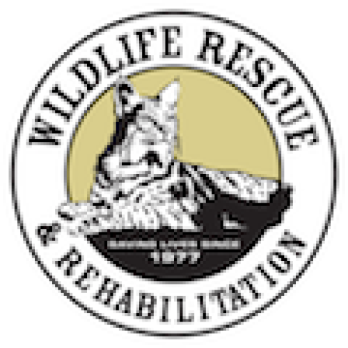 Logo Wildlife Rescue & Rehabilitation