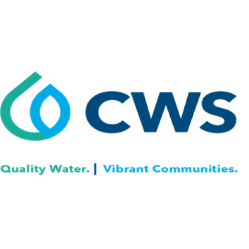 Logo Clearwater Solutions (CWS)