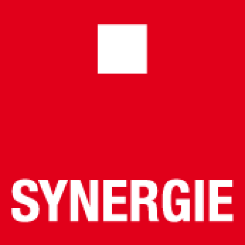 Logo Synergie Group