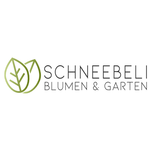 Logo Blumen Schneebeli AG