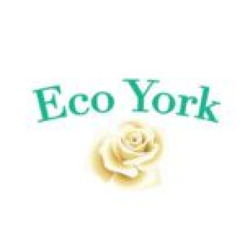 Logo Eco York