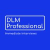 Logo DLM Pro