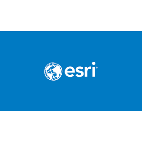 Logo esri company