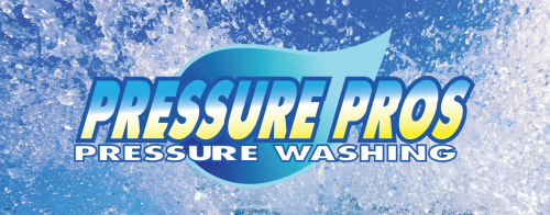 Logo Destin Pressure Pros